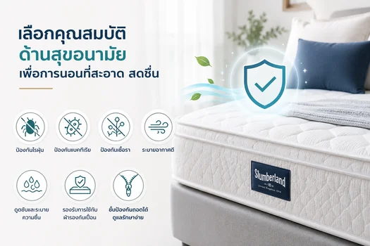 ลือกที่นอนที่ใส่ใจสุขอนามัย เพื่อการนอนที่สะอาดและสดชื่นยิ่งขึ้น