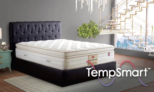 Tempsmart